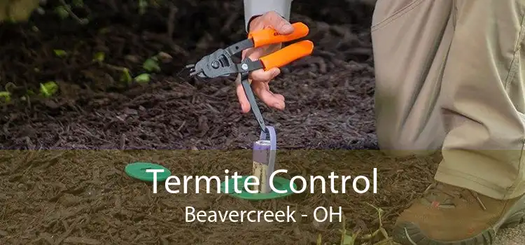 Termite Control Beavercreek - OH