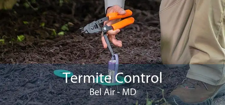 Termite Control Bel Air - MD