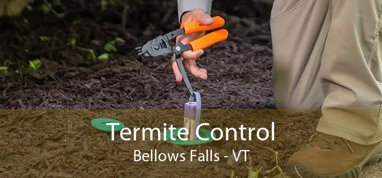 Termite Control Bellows Falls - VT