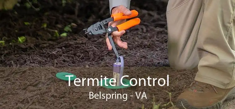 Termite Control Belspring - VA