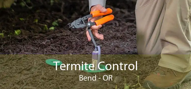 Termite Control Bend - OR