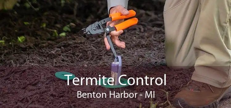 Termite Control Benton Harbor - MI