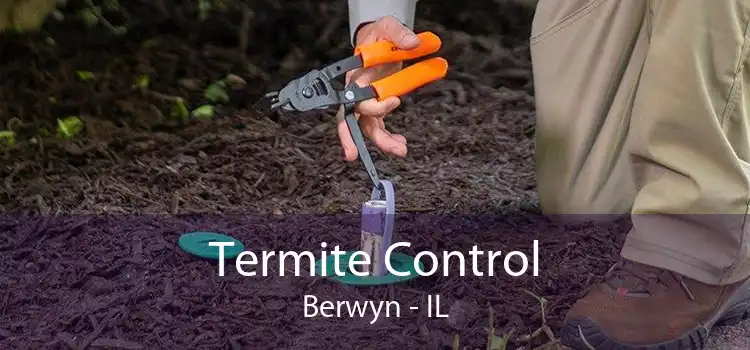 Termite Control Berwyn - IL