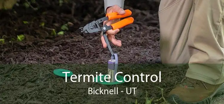 Termite Control Bicknell - UT