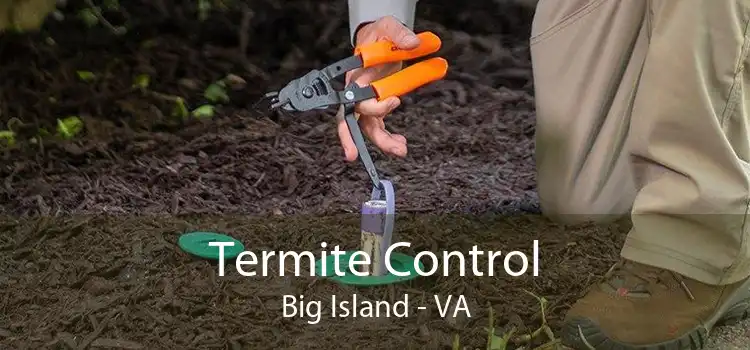 Termite Control Big Island - VA
