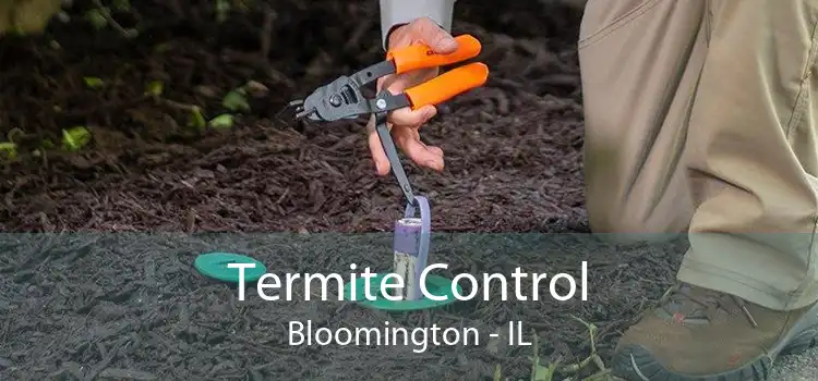 Termite Control Bloomington - IL