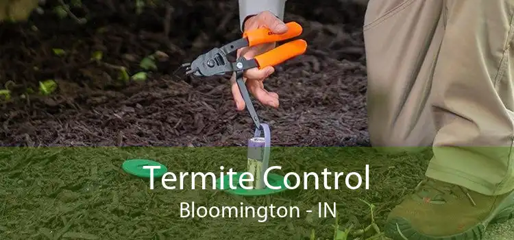 Termite Control Bloomington - IN