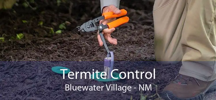 Termite Control Bluewater Village - NM