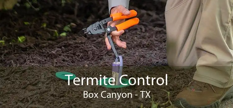 Termite Control Box Canyon - TX