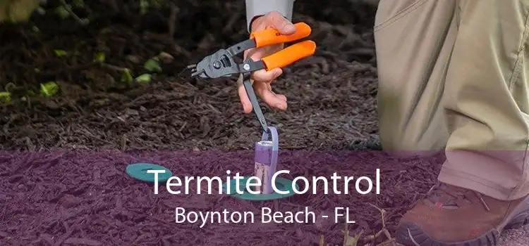 Termite Control Boynton Beach - FL