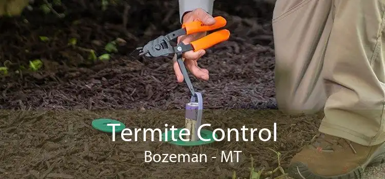 Termite Control Bozeman - MT