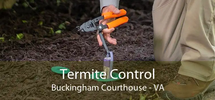 Termite Control Buckingham Courthouse - VA