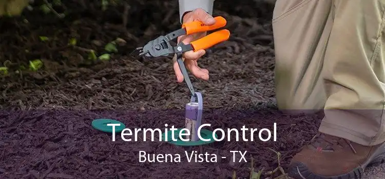 Termite Control Buena Vista - TX