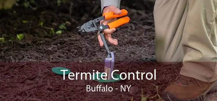Termite Control Buffalo - NY