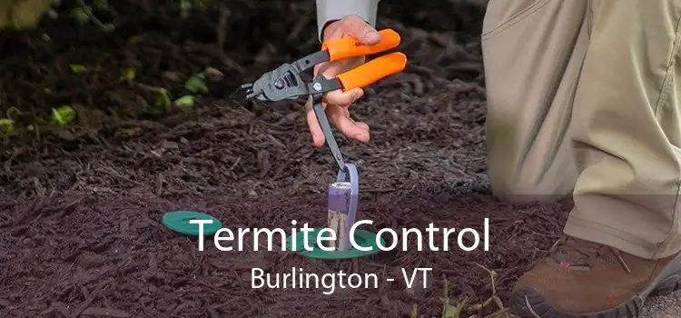 Termite Control Burlington - VT