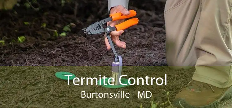 Termite Control Burtonsville - MD