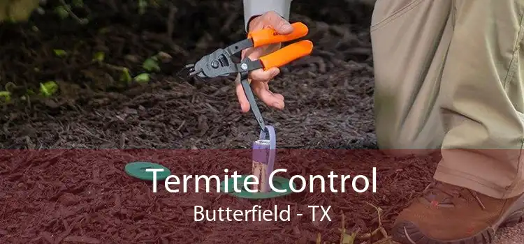 Termite Control Butterfield - TX