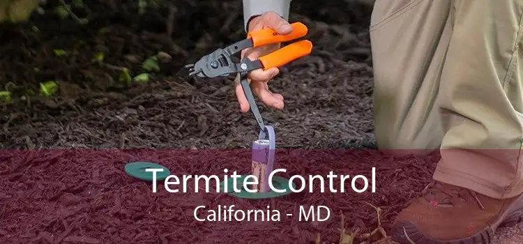 Termite Control California - MD