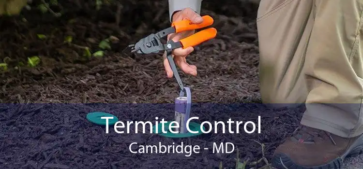 Termite Control Cambridge - MD