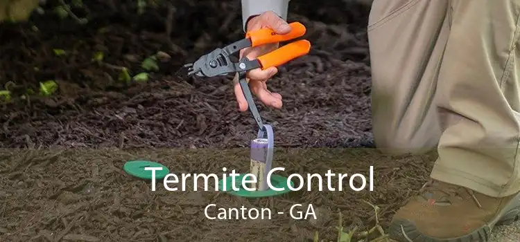 Termite Control Canton - GA