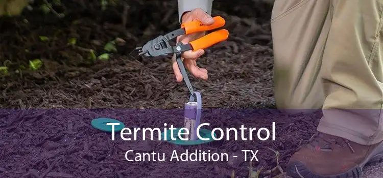 Termite Control Cantu Addition - TX