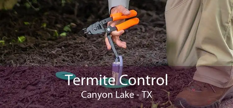 Termite Control Canyon Lake - TX