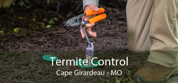 Termite Control Cape Girardeau - MO
