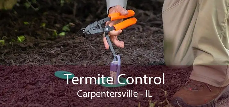 Termite Control Carpentersville - IL
