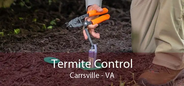 Termite Control Carrsville - VA