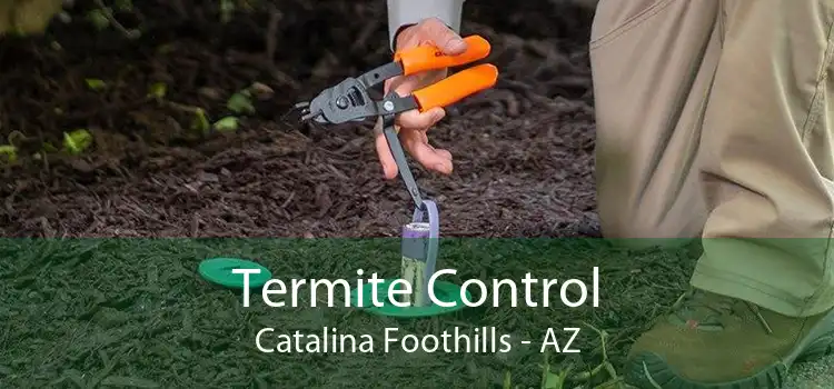 Termite Control Catalina Foothills - AZ