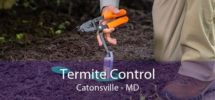 Termite Control Catonsville - MD