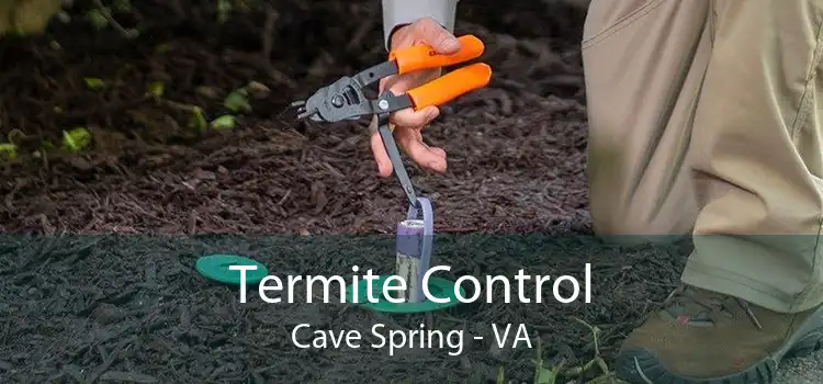 Termite Control Cave Spring - VA