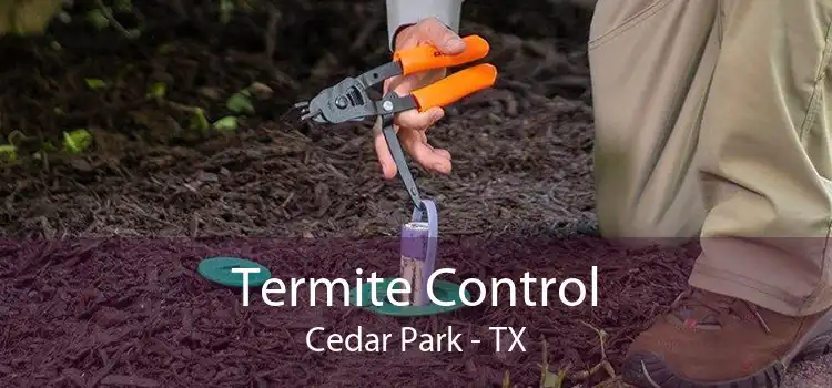 Termite Control Cedar Park - TX