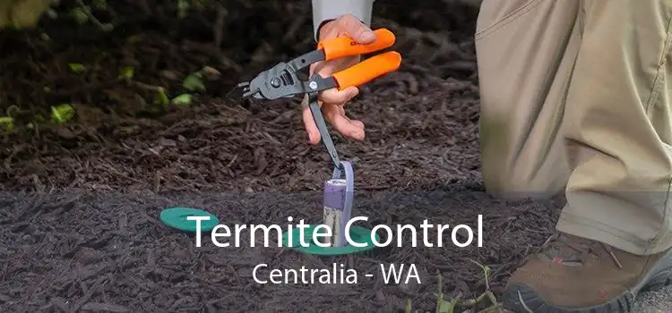 Termite Control Centralia - WA