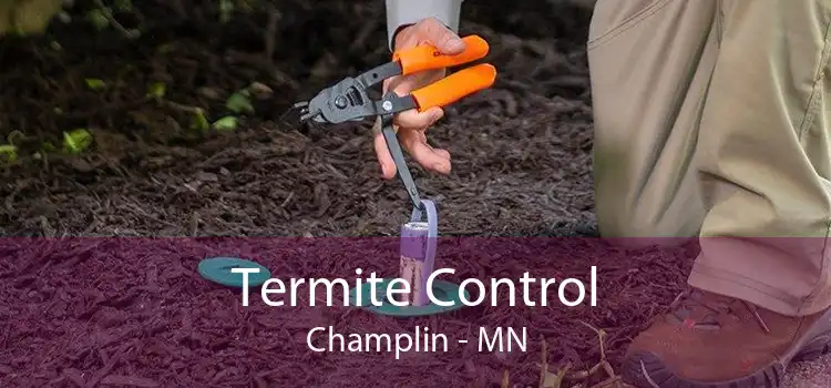 Termite Control Champlin - MN