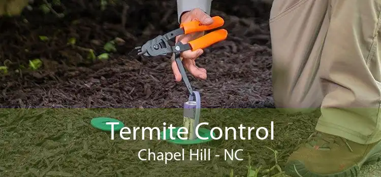 Termite Control Chapel Hill - NC