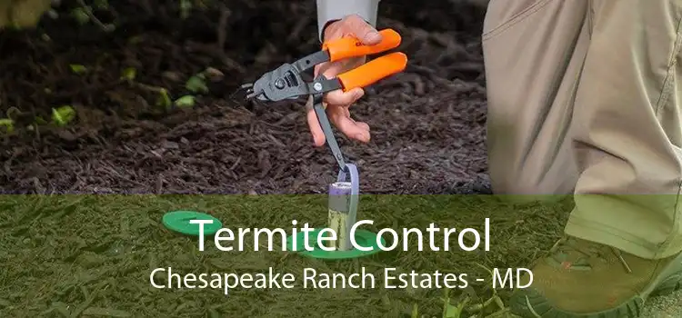 Termite Control Chesapeake Ranch Estates - MD