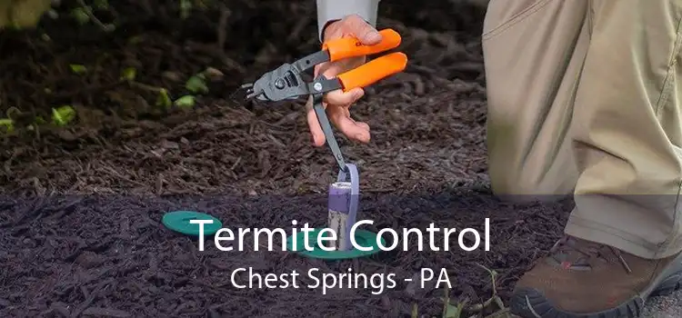 Termite Control Chest Springs - PA