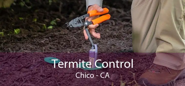 Termite Control Chico - CA
