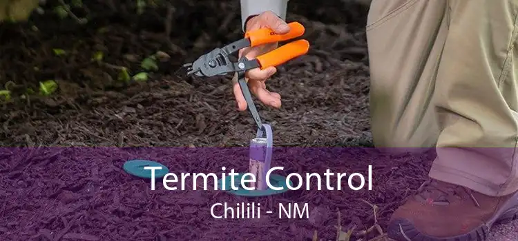 Termite Control Chilili - NM