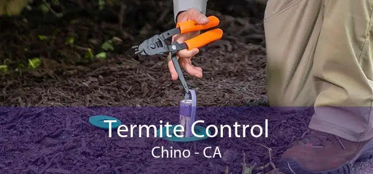 Termite Control Chino - CA