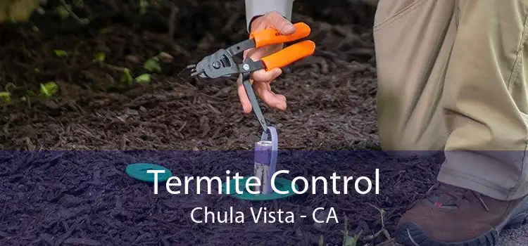 Termite Control Chula Vista - CA