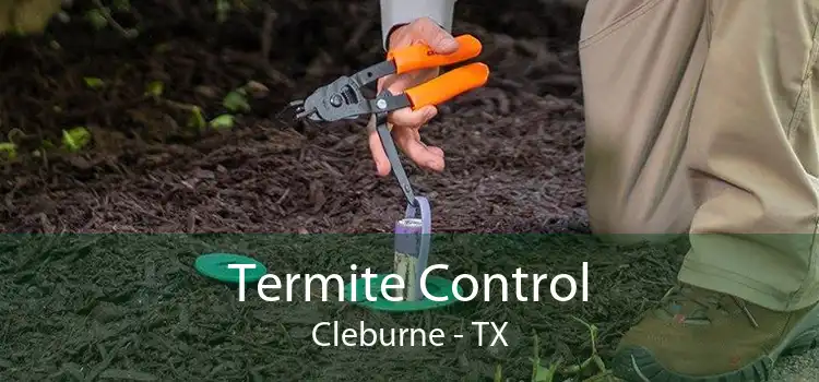 Termite Control Cleburne - TX