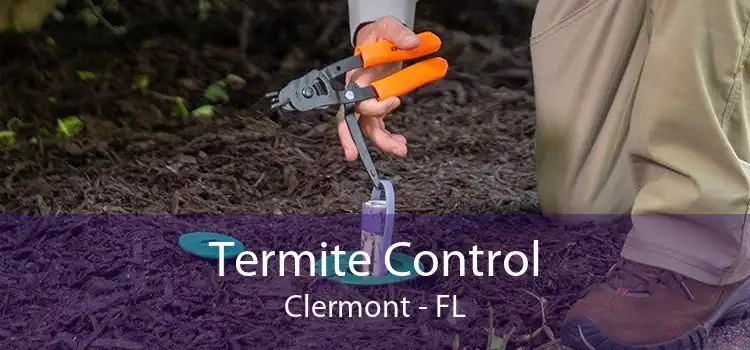 Termite Control Clermont - FL