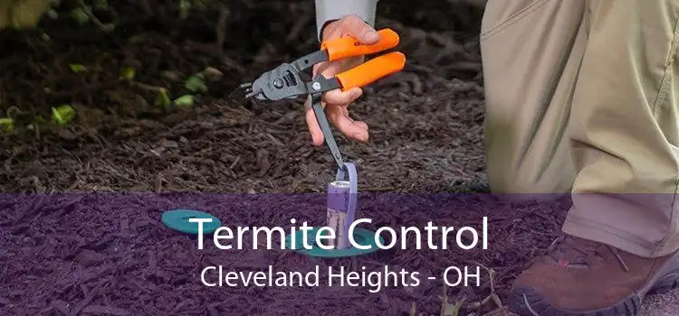 Termite Control Cleveland Heights - OH