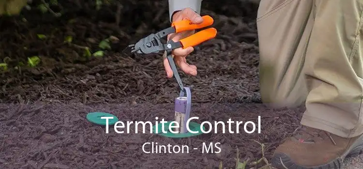 Termite Control Clinton - MS