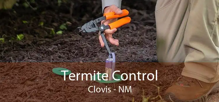 Termite Control Clovis - NM