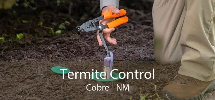 Termite Control Cobre - NM