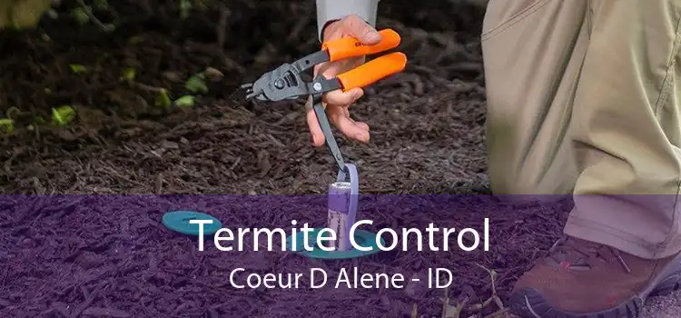 Termite Control Coeur D Alene - ID