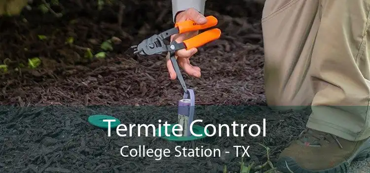 Termite Control College Station - TX